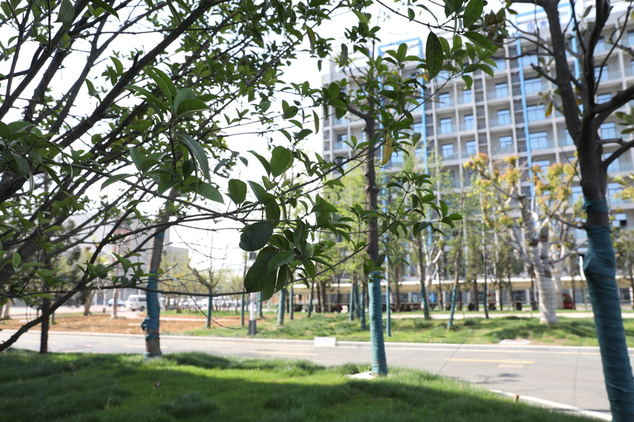 Hefei Guofeng Advanced Basic Materials Technology Co., Ltd.